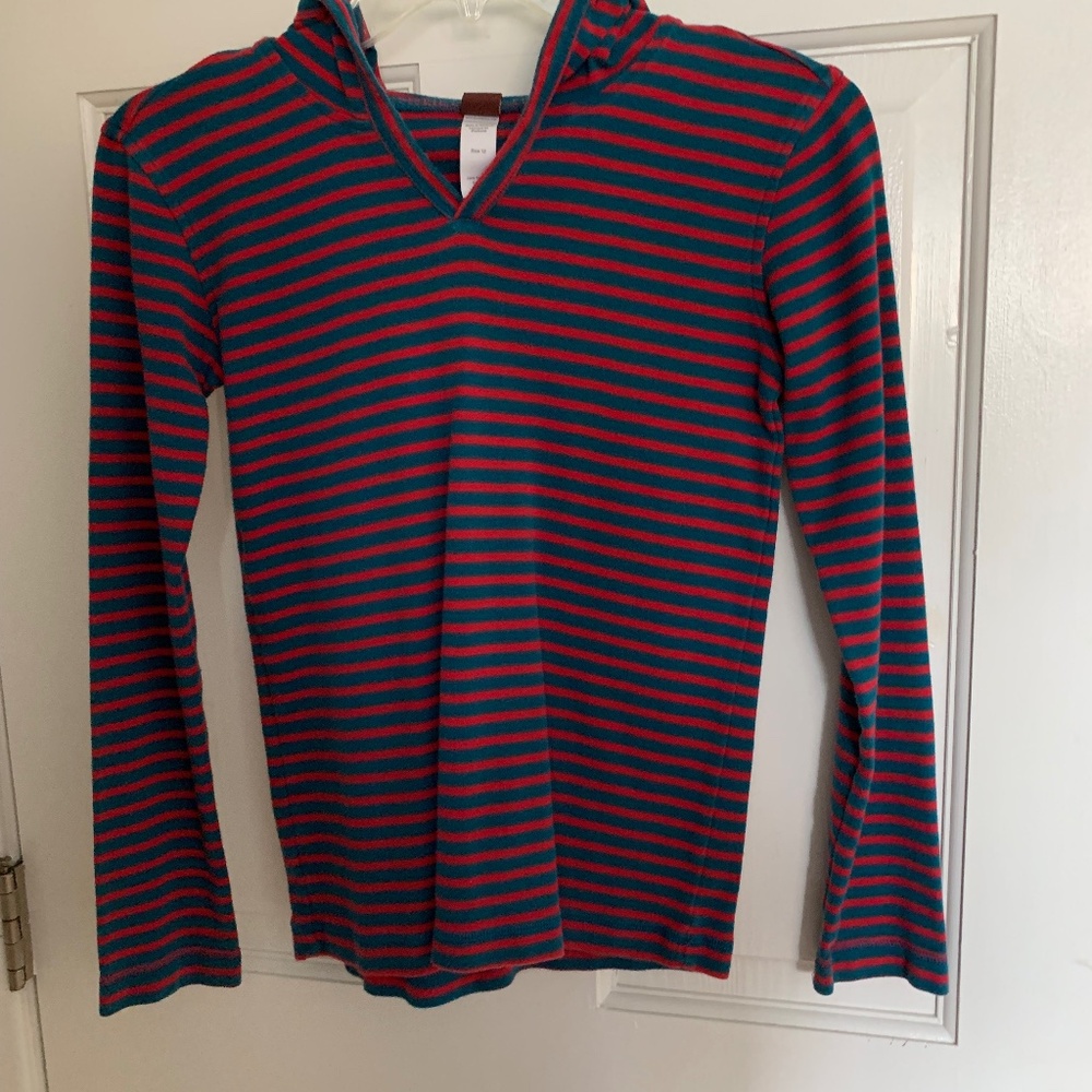 Boys Tea Collection Stripped Hoodie